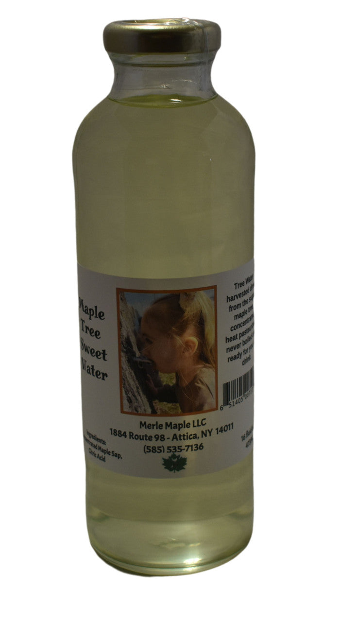Maple Sweet Tree Water